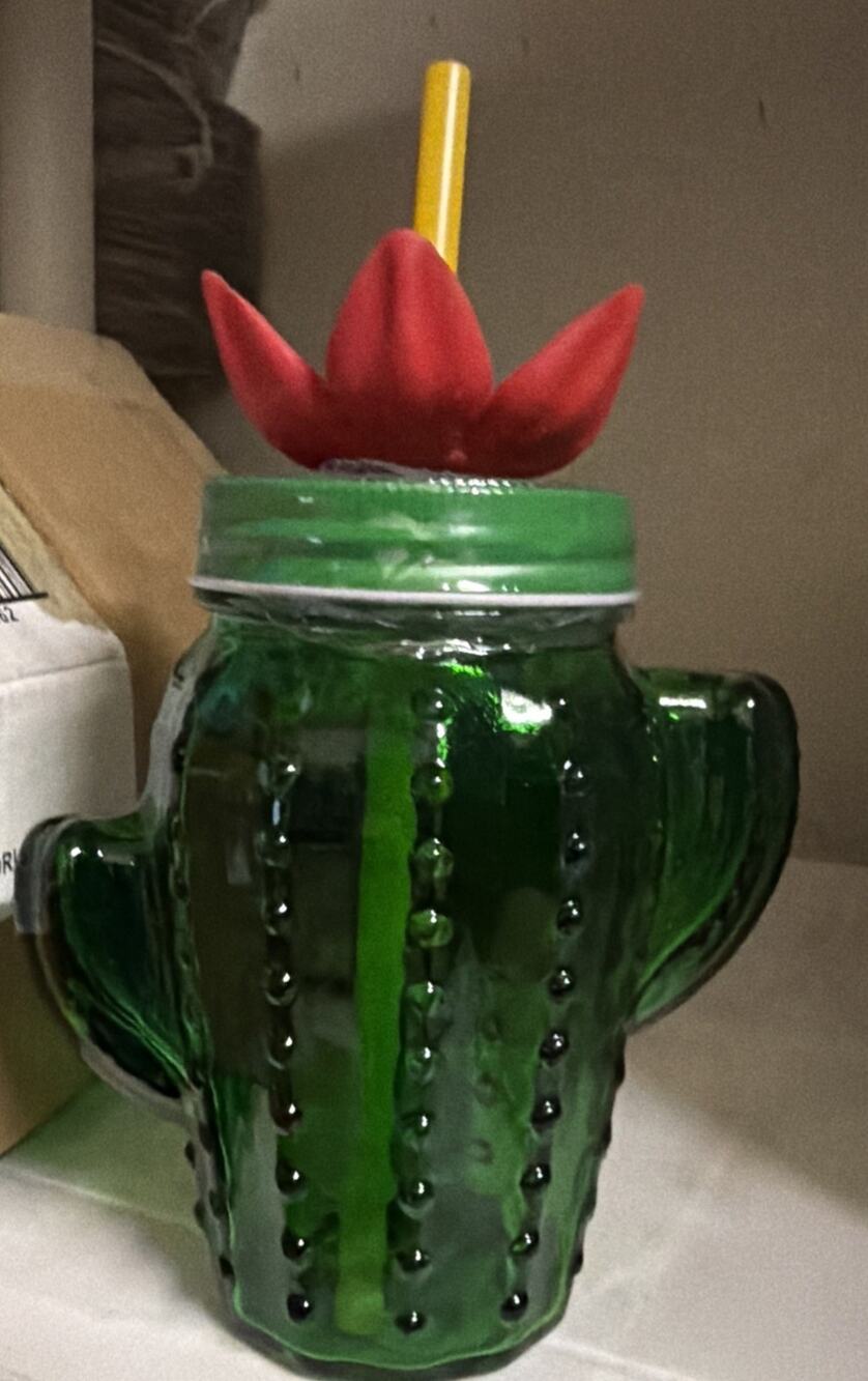 Target Bullseye Playground Green Glass Cactus Tumbler Mason Jar Cup with Flower